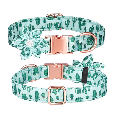 Juego de Collar y Correa Personalizado para Mascotas - Image 16