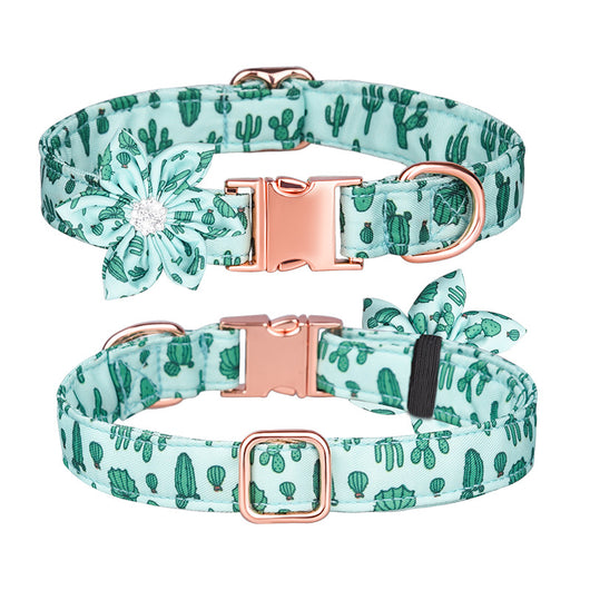 Juego de Collar y Correa Personalizado para Mascotas - Image 16