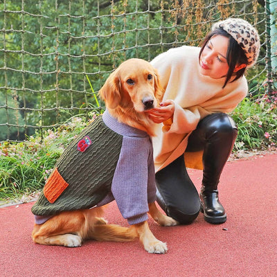 Abrigo Térmico para Golden Retriever - Protección Invernal Premium - Image 5