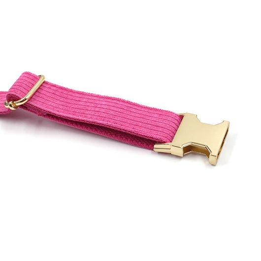 Collar para Perro de Pana Suave y Simple - Image 8
