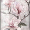 C 0252 20 X 25 Cm Frameless