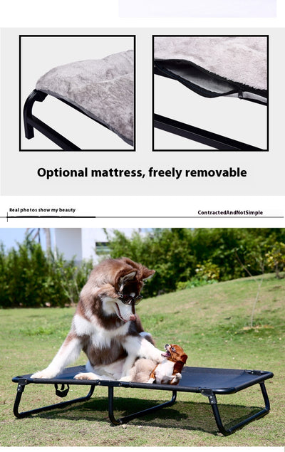 Cama Elevada para Perros con Marco de Hierro y Malla Transpirable - Image 13
