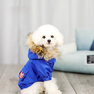 Ropa y Gorro de Lana para Perros - Abrigo de Algodón