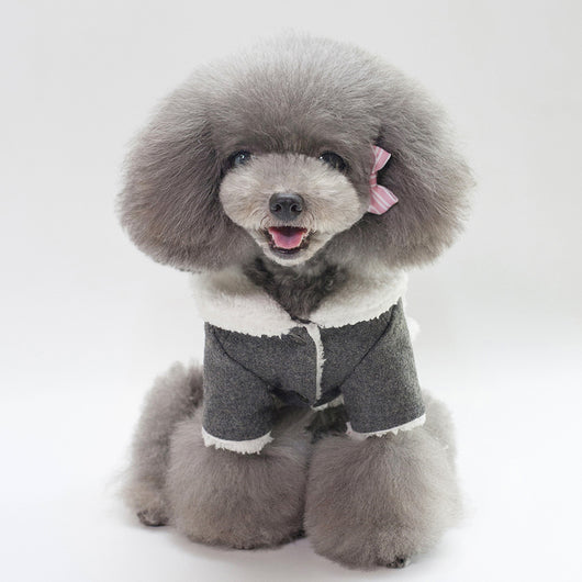 Ropa Personalizada de Invierno para Mascotas - Image 9