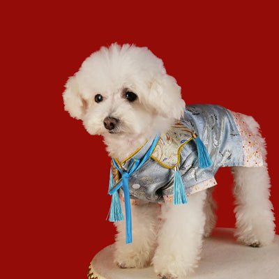 Traje Hanfu Tradicional para Mascotas - Caja de Regalo Exclusiva - Image 7