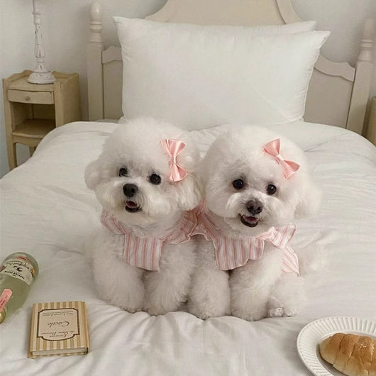 Vestido Princesa para Perro con Mangas Volantes y Rayas Adorables - Image 2