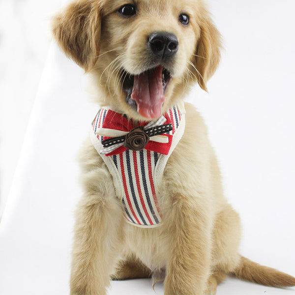 Arnés Pectoral Transpirable para Mascotas