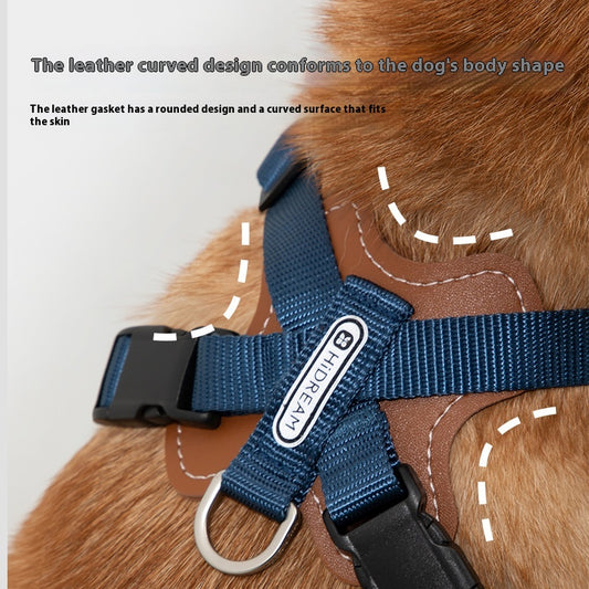 Cuerda Interactiva para Perros Corgi y Shiba Inu - Juguete de Tracción Doble - Image 2