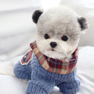 Suéter de Algodón Otoñal para Perros Two Seasons - Image 12