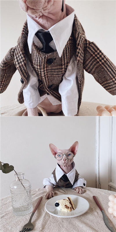 Traje Elegante para Gatos Sphynx y Razas sin Pelo - Image 18