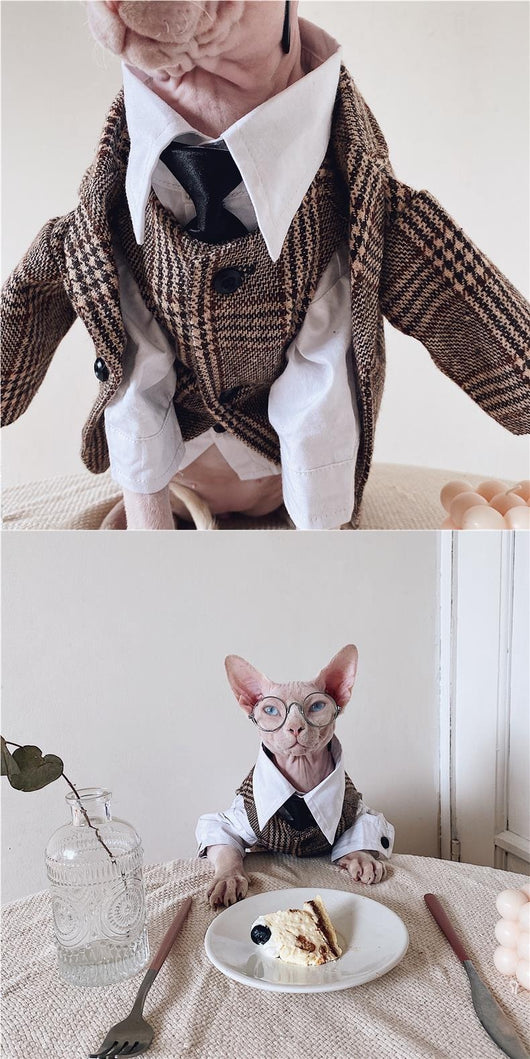 Traje Elegante para Gatos Sphynx y Razas sin Pelo - Image 18