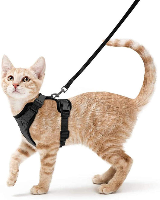Arnés Ajustable Antiescapismo para Gatos con Correa Integrada - Image 10