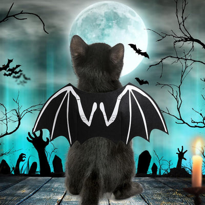 Disfraz de Murciélago Luminoso para Perros y Gatos - Esqueleto Brillante con Alas - Image 4