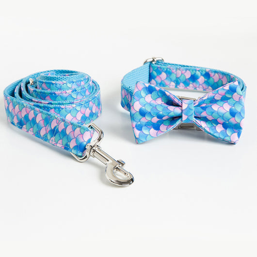 Collar Personalizado para Perros con Letras - Expresa su Personalidad