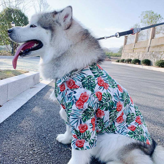 Playera Estampada para Mascotas - Image 3