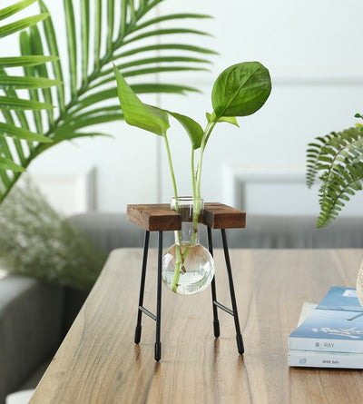 Terrario Rústico para Plantas con Soporte de Madera - Image 8
