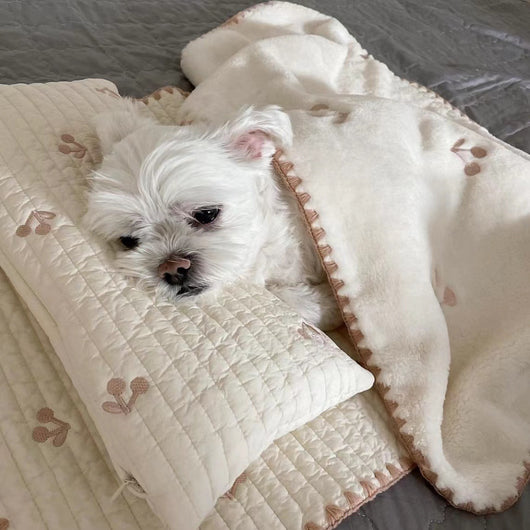 Cama Ortopédica para Perros con Funda Extraíble y Lavable - Image 3