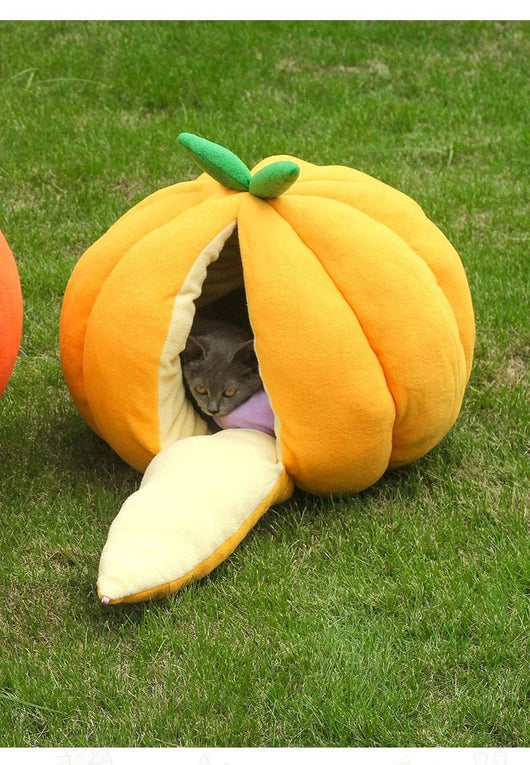 Cama Nido Cálida para Gatos - Casa Tipo Calabaza Cerrada con Bolsa de Dormir - Image 20