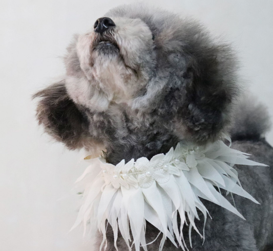 Babero Absorbente Estilo Hawaiano para Mascotas - Image 2