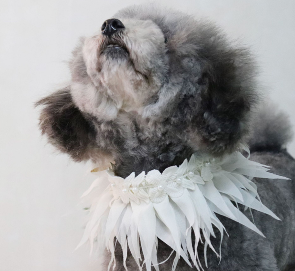 Babero Absorbente Estilo Hawaiano para Mascotas