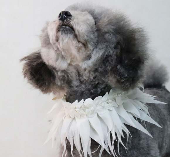 Babero Absorbente Estilo Hawaiano para Mascotas