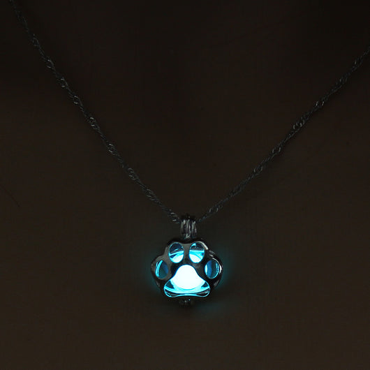 Collar Luminoso Hueco con Diseño de Pata de Perro - Image 8