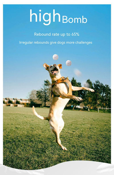 White bone-shaped dog toy with colorful speckles, labeled as interactive and bite-resistant. - Image 9