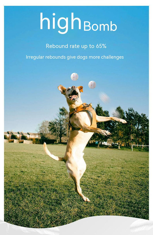 White bone-shaped dog toy with colorful speckles, labeled as interactive and bite-resistant. - Image 9