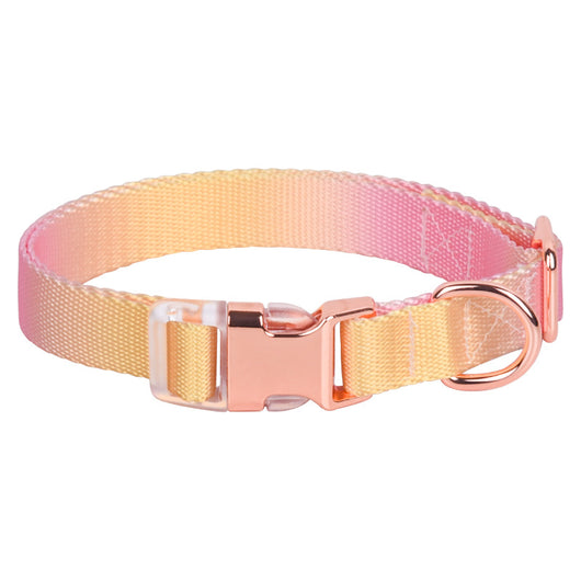 Collar Ajustable para Perros y Gatos - Diseño Degradado Moderno - Image 12