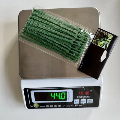 Cinta de Sujeción para Plantas Espiga de Pescado Verde - Image 14