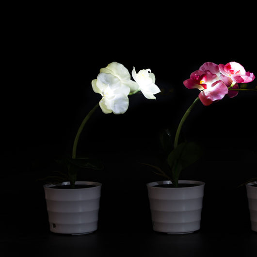 Lámpara Solar Orquídea con Mariposas Decorativas - Image 6