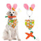 Kit Completo de Decoración Pascual para Mascotas