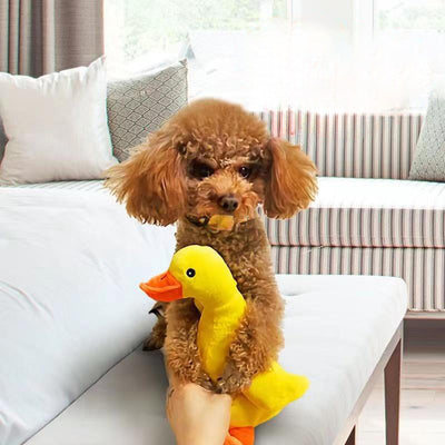 Juguete para Perros Pato Sonoro de Peluche - Resistente y Entretenido - Image 3