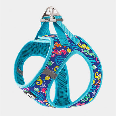 Chaleco Teddy de Moda para Perros Pequeños