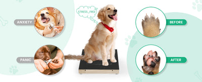 Tabla de Rascado para Uñas de Perros - Limador Natural con Caja de Premios - Image 13