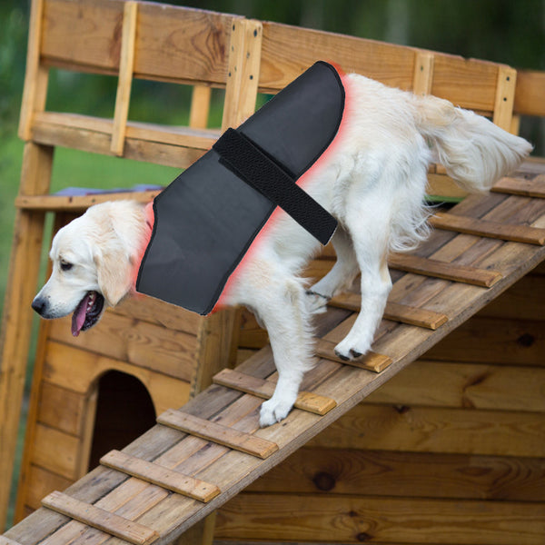 Dispositivo de Fototerapia Infrarroja para Mascotas - Tamaño L con Temporizador Inalámbrico