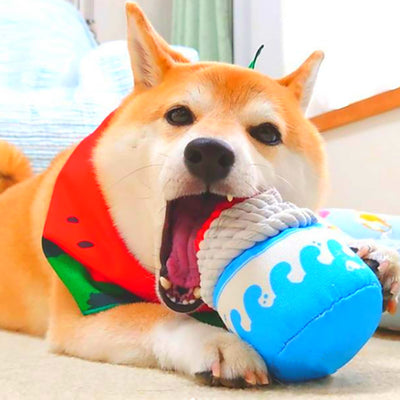 Juguete Resistente para Perros: Mordedor Antiestrés para Masticar y Jugar - Image 7
