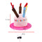 Birthday Hat Pink M