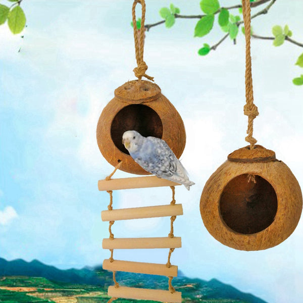 Natural coconut shell bird nest with a wooden ladder, featuring a hanging rope for small birds or hamsters.