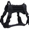 Black Harness