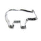 Urso Polar