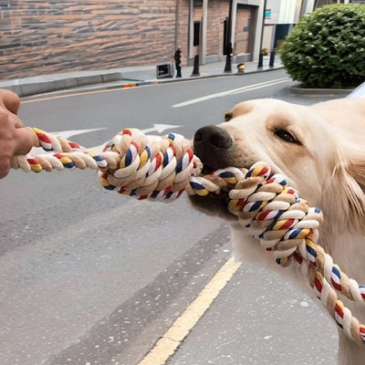 Juguete de Cuerda Nudos Grandes para Perros y Gatos - Limpieza Dental y Alivio de Estrés - Image 17