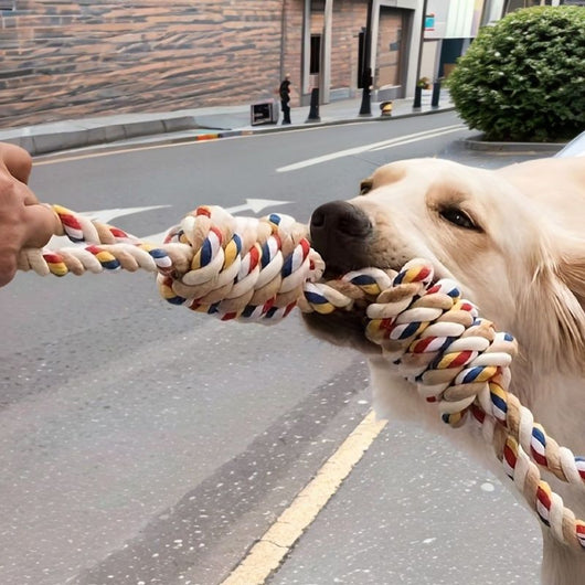 Juguete de Cuerda Nudos Grandes para Perros y Gatos - Limpieza Dental y Alivio de Estrés - Image 17