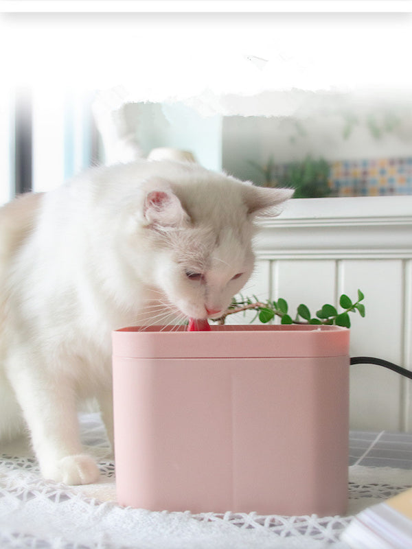 Fuente de Agua Inteligente para Gatos