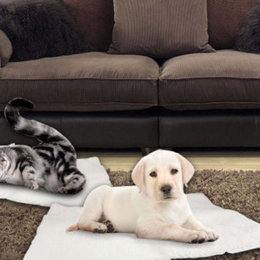 Manta Térmica Autocalefactable para Perros y Gatos - Cama Cálida sin Electricidad - Image 2