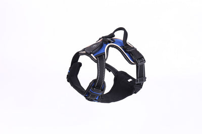 Chaleco LED Luminoso para Paseos Nocturnos de Mascotas con Destello Ajustable - Image 10