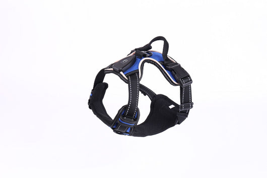 Chaleco LED Luminoso para Paseos Nocturnos de Mascotas con Destello Ajustable - Image 10