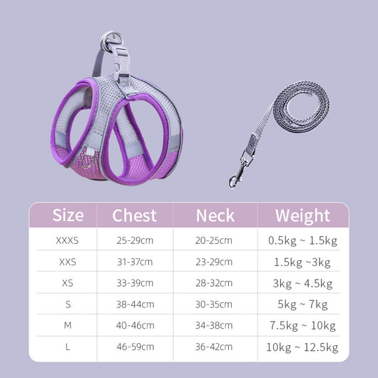 Arnés de Seguridad para Gatos con Correa Antiescapes - Image 3