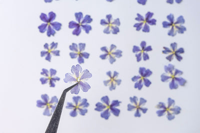 Marcapáginas con Flor de Cerezo Deshidratada - Accesorio Ornamental con Espécimen Botánico - Image 19