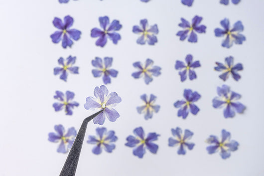 Marcapáginas con Flor de Cerezo Deshidratada - Accesorio Ornamental con Espécimen Botánico - Image 19